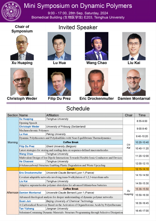 Mini Symposium on Dynamic Polymers