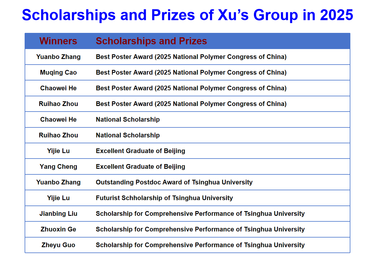 Scholarships and prizes of Xu’s group in 2025