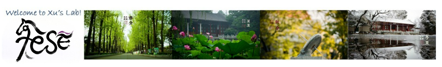 Huaping Xu  许华平研究组